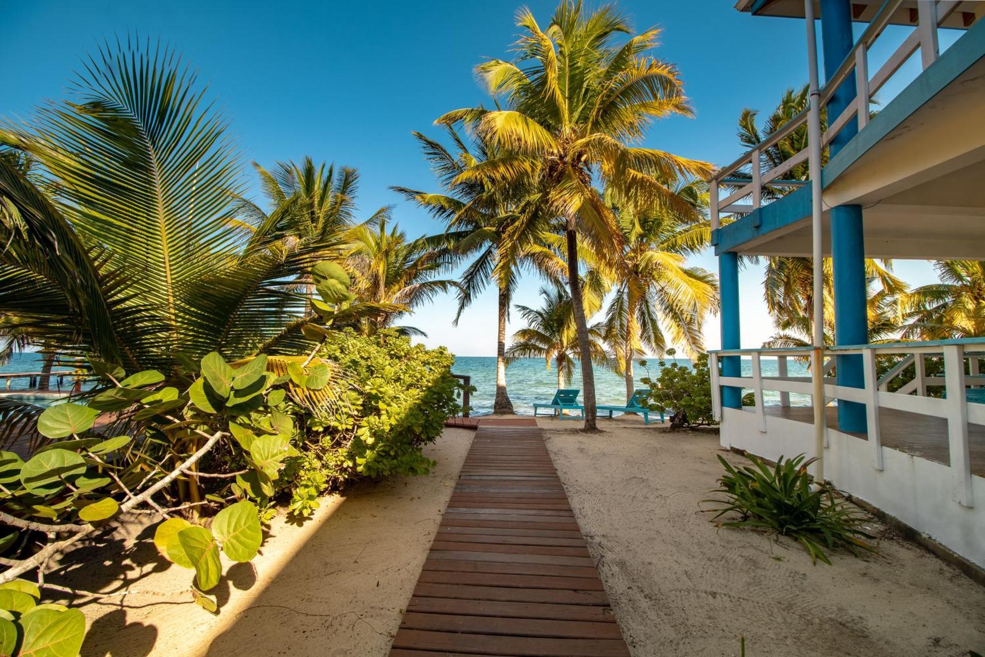 Beachside Villas Gold Standard Certified Placencia Ruang foto