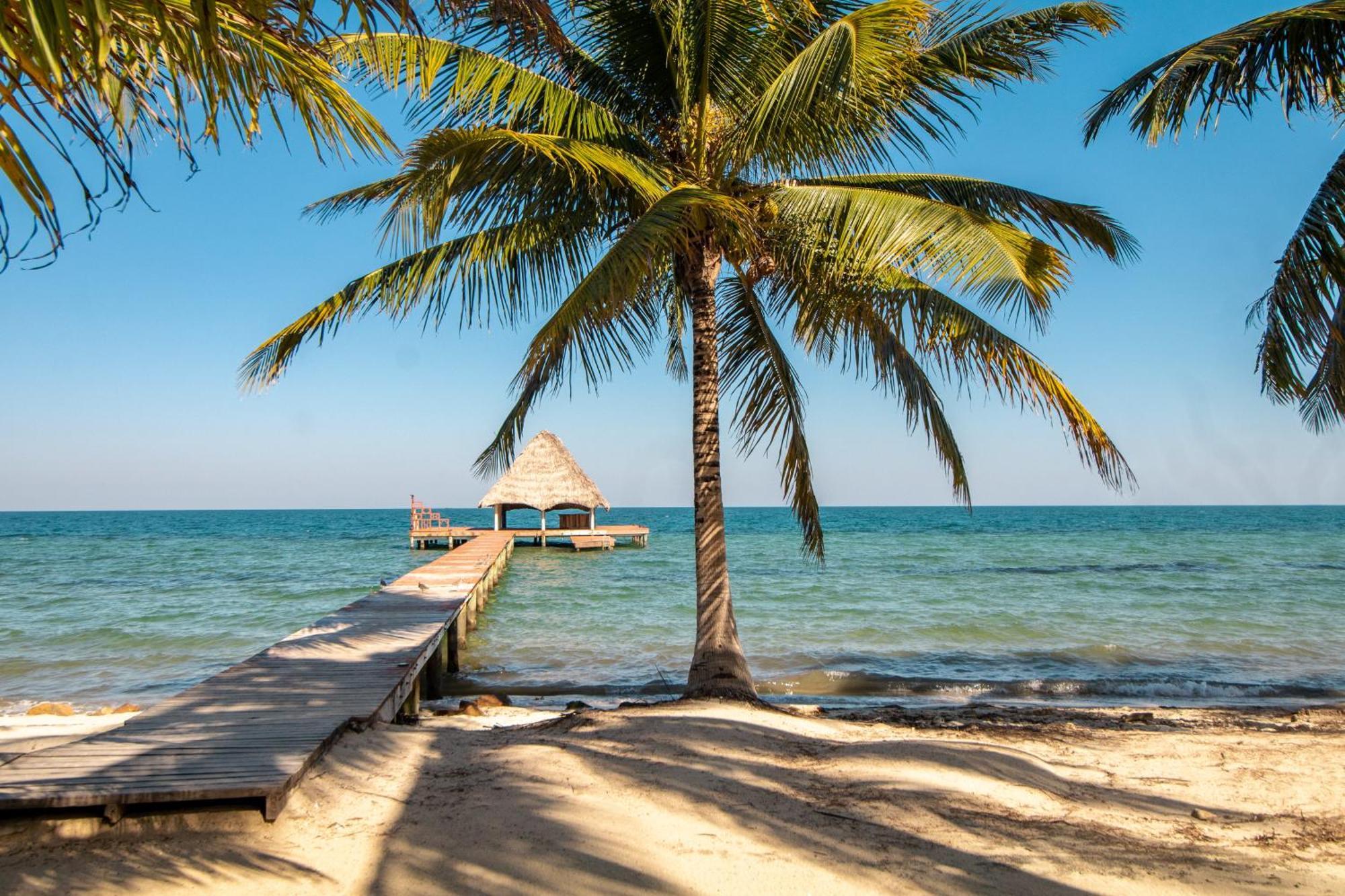 Beachside Villas Gold Standard Certified Placencia Ruang foto