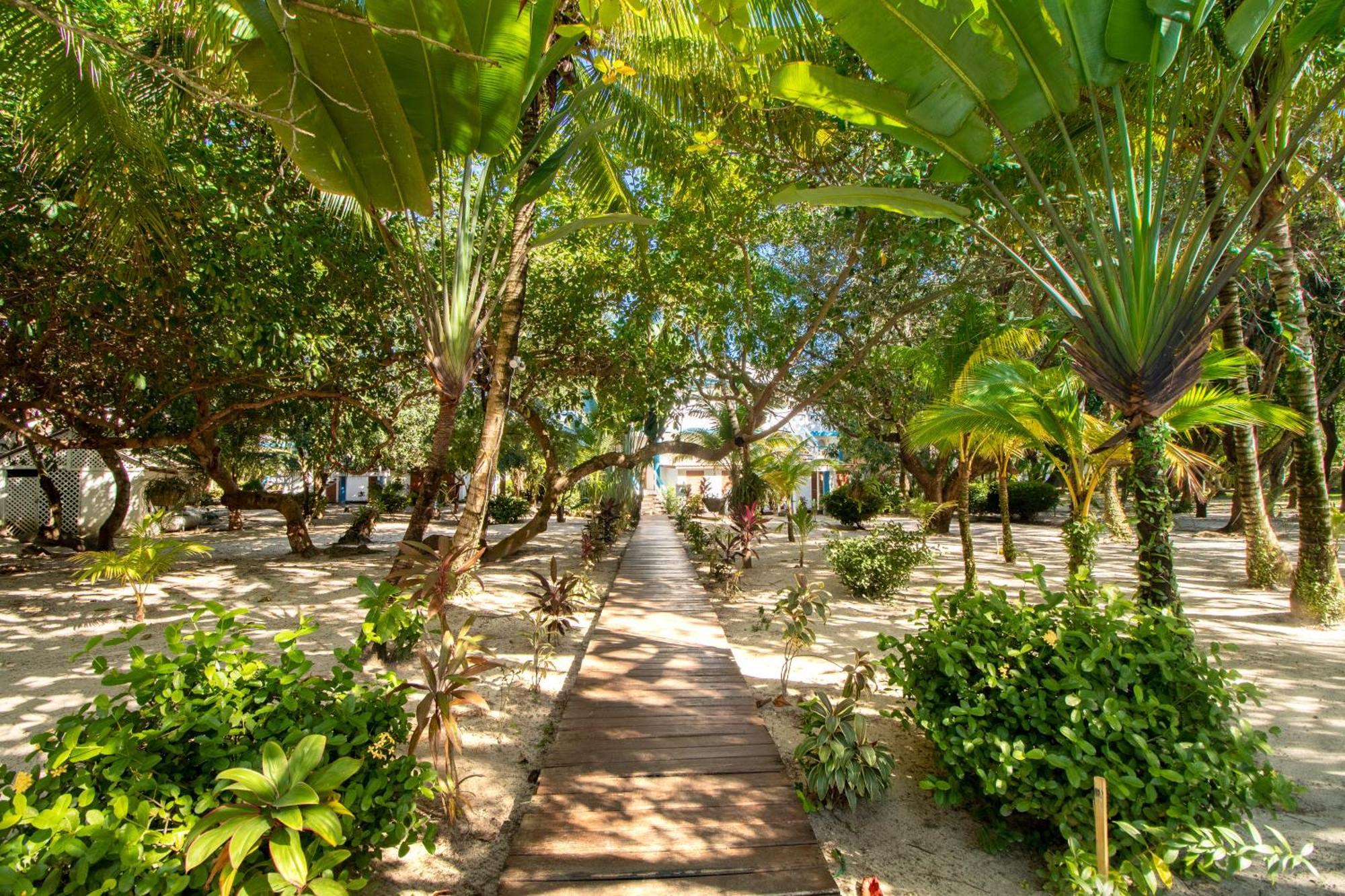 Beachside Villas Gold Standard Certified Placencia Ruang foto